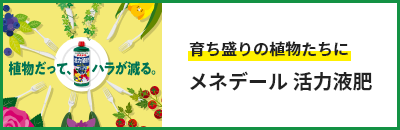 育ち盛りの植物たちに　メネデール 活力液肥