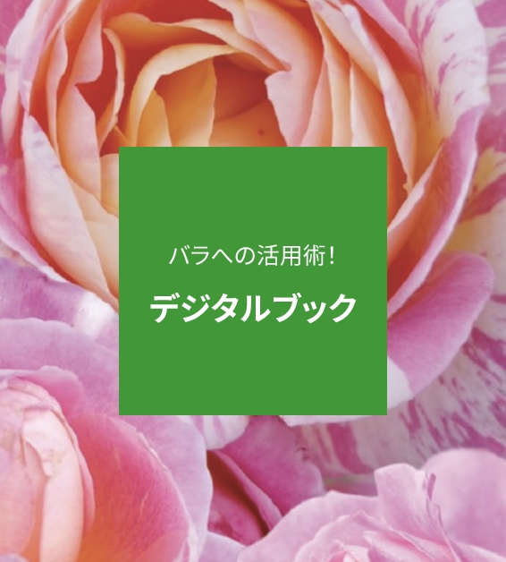 デジタルブック